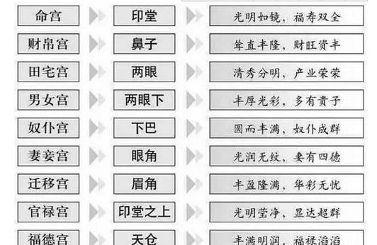 八字中墓的意思详细解析