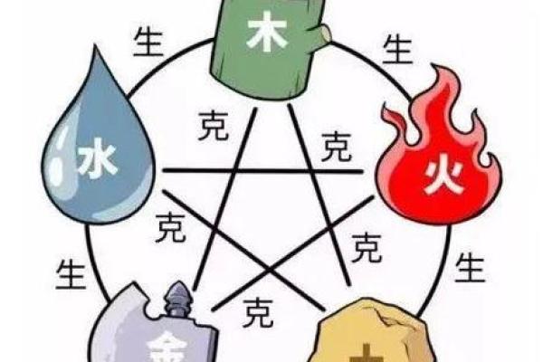 蛇在五行中属于什么元素的深入解析