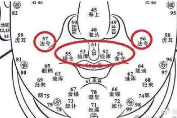 从古至今：痣相学在预测命运中的重要性