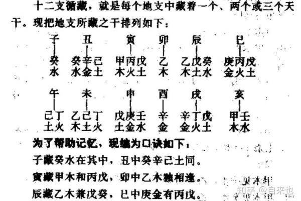 探索地支在命理学中的应用