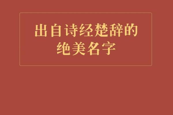 如何打分童童名字的独特寓意