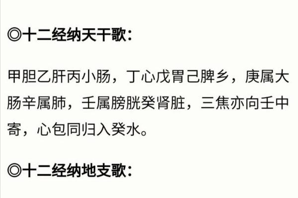 十二地支与人体对应歌诀揭示健康奥秘