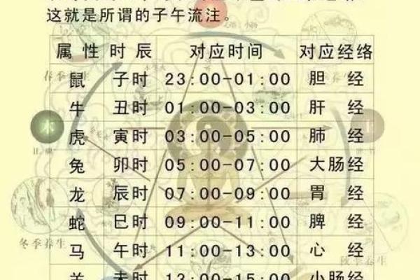 十二地支与人体对应歌诀揭示健康奥秘