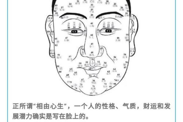 眼睛面相解析：如何通过眼睛看出你的性格与运势