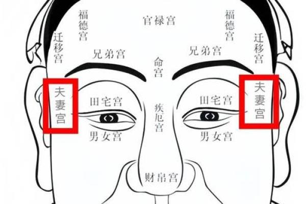 眼睛面相解析：如何通过眼睛看出你的性格与运势