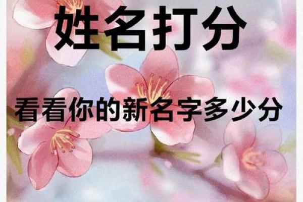 姓名打分测试：如何利用姓名分析提高生活运势