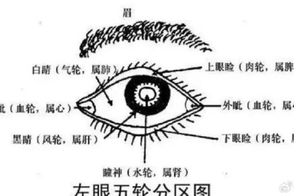 眉毛形状与个人命运的深层联系解析