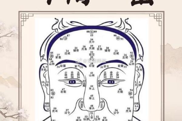 男人鼻子面相揭秘：哪些鼻型预示着事业成功