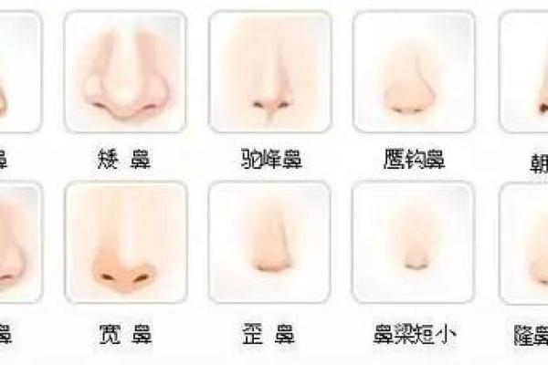 女性面相中的鼻子特点及其影响分析