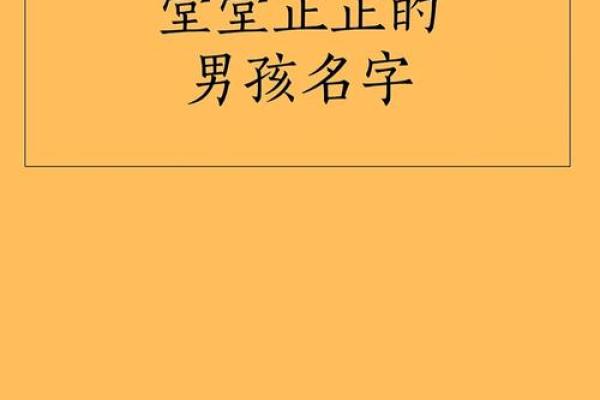 给名字打分免费工具助你选出完美名字