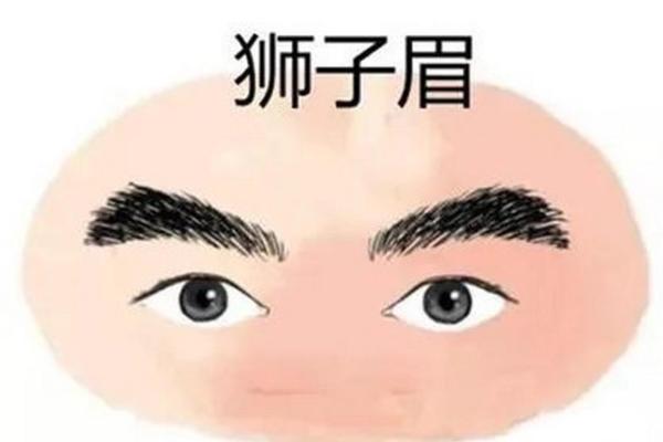 解读男人眉毛杂乱的面相及其生活影响