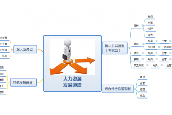 如何选择最准确的名字打分工具