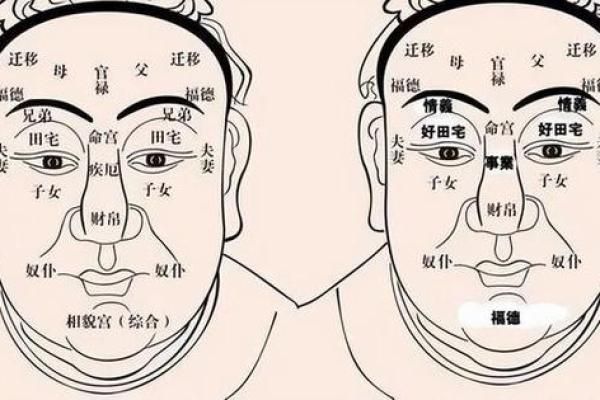 面相解析：从面部特征看个性与命运的奥秘