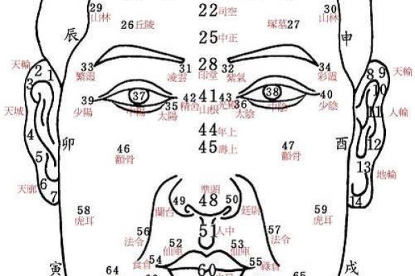 面相解析：从面部特征看个性与命运的奥秘