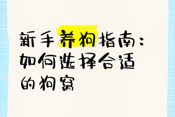 如何为不同品种的狗狗选择合适的名字