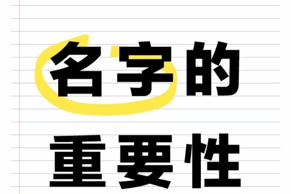 名字打分：选择一个合适名字的重要性