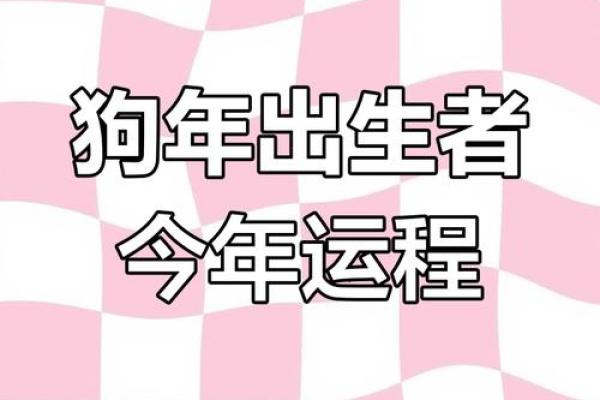 属狗人今日运势提醒：适当调整心态应对变动