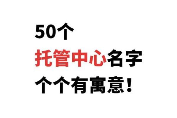 快速免费取名字打分，助力选择最佳名字