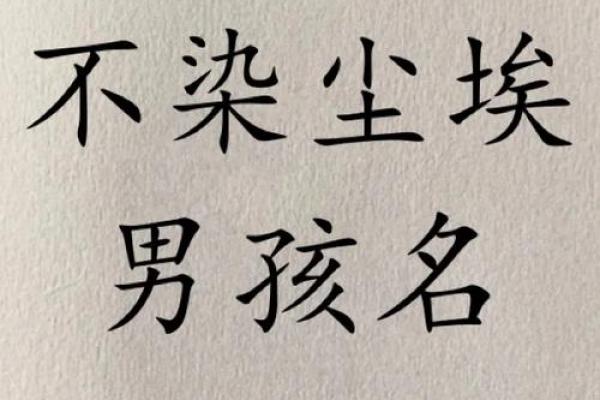 陈诺名字打分解析：如何评价这个名字的寓意与音韵搭配