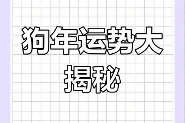 年运势全面解读：财富、健康、感情运势大揭秘