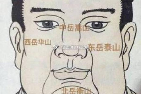 颧骨高男人面相与财运的神秘关系