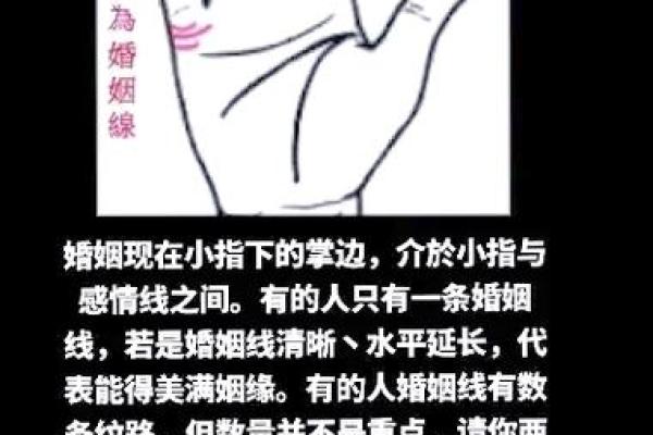 女人手相指南：如何通过掌纹预测生活与感情