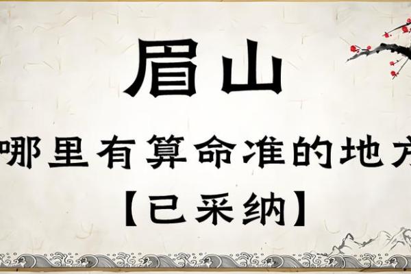 命理协会的智慧：如何揭示人生的玄机