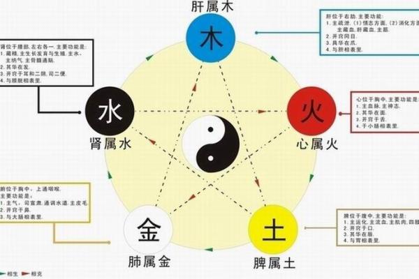 存五行与五行元素的关系