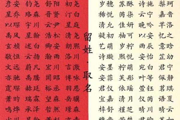 精选訾姓宝宝名字赏析