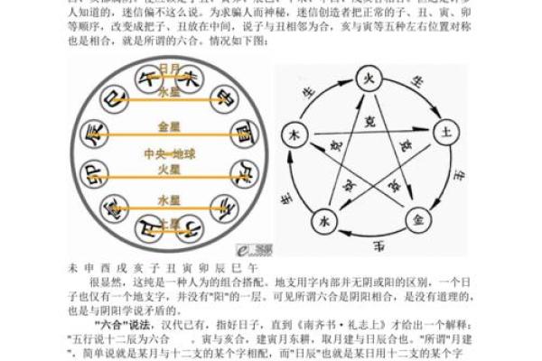 深入探析十二生肖五行的相生相克关系