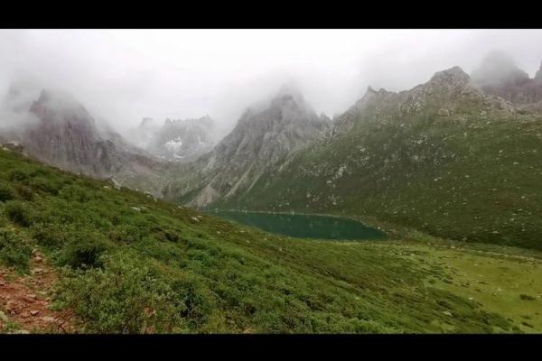 蛇儿翻山越岭，明日运势飙升