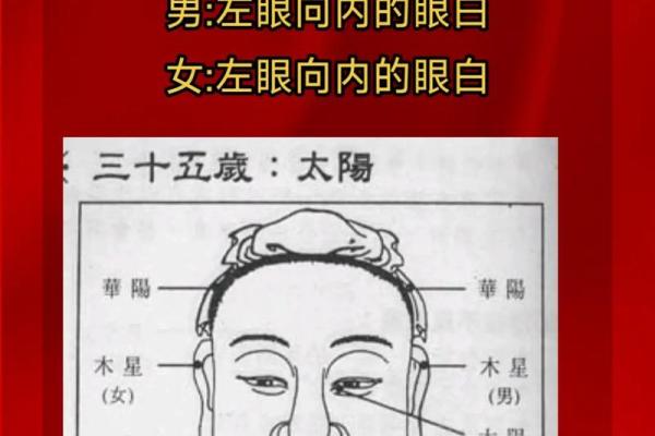 面相解密：一眼看穿命运走势，掌握人生主动权