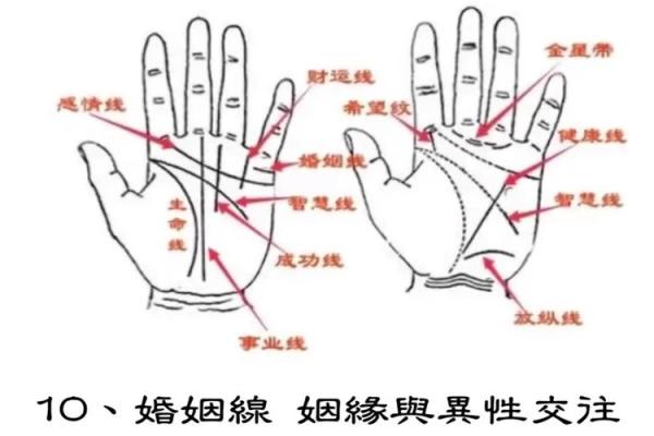 手掌中的财富密码：揭秘女性赚钱手相秘诀