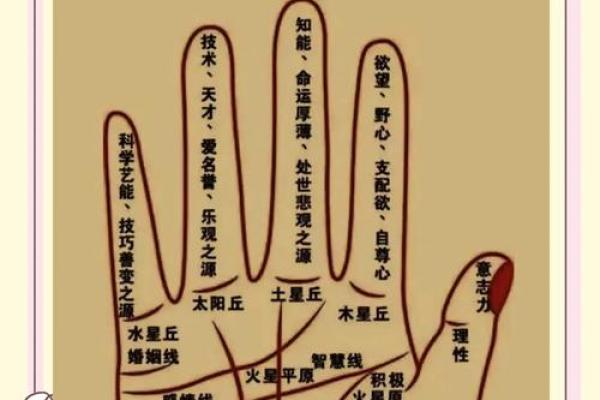 手上藏秘密？揭秘手相学的科学依据