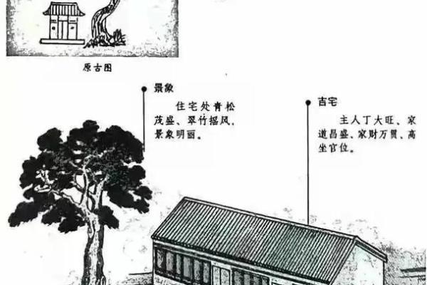 通过风水学原理动画了解如何改善居住环境的能量