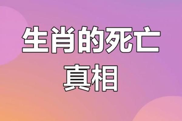 古代地支传说：探寻生肖背后的神秘故事