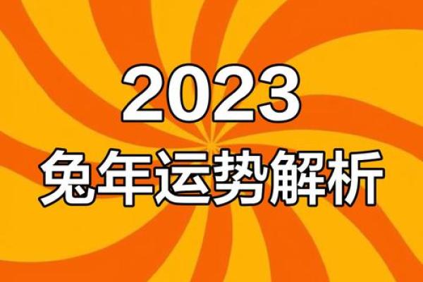 兔今日运势解析