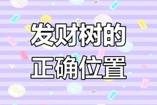 家居风水宝典：学会这些摆放技巧，财运滚滚来！