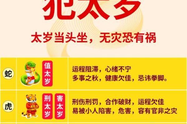 十二地支太岁：揭秘生肖命运的神奇力量