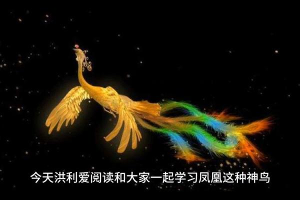 凤凰涅槃：揭秘吉祥鸟名字的寓意与魅力