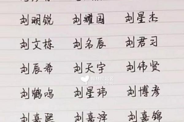 海姓男孩起名大全：为男孩挑选最合适的名字