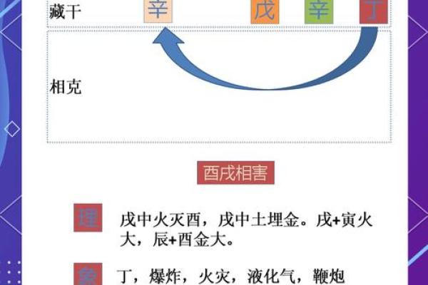 地支猴背后的文化奥秘：生肖猴的内涵深度解读