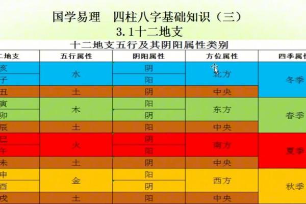 十二地支风水解析：哪一地支能助你事业腾飞？