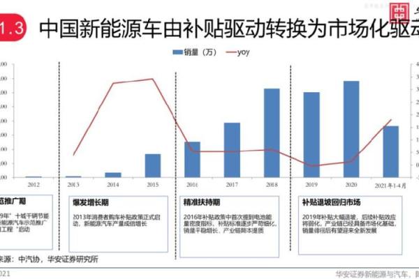 代豪品牌的崛起与未来发展趋势