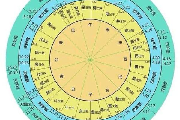 日躔地支秘籍：掌握人生运势的神奇技巧