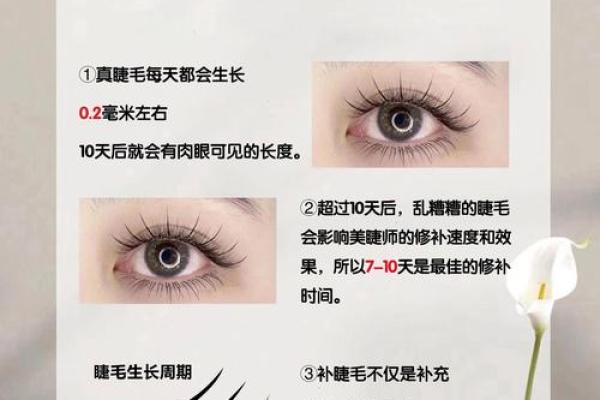 眼睫毛的秘密：揭示面相中的魅力密码