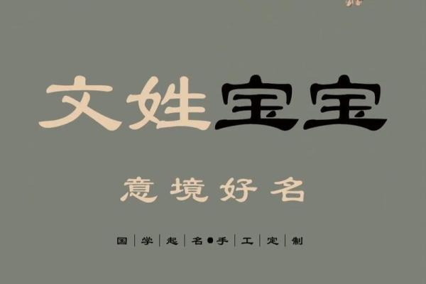 林黄宝宝男孩名字创意集