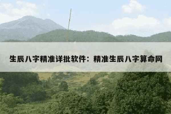 精准生辰八字分析，免费服务助你了解自己