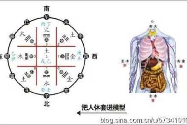 家居风水宝典：水和木的巧妙运用，提升家居运势大揭秘