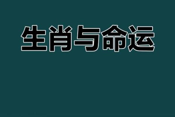 蛇影十二宫，生肖奥秘大揭秘